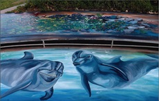 Keep It Clean Malibu Storm Drain Project